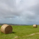 شقة Flobart Grand A Au Rdc Et A 30 Metres De La *