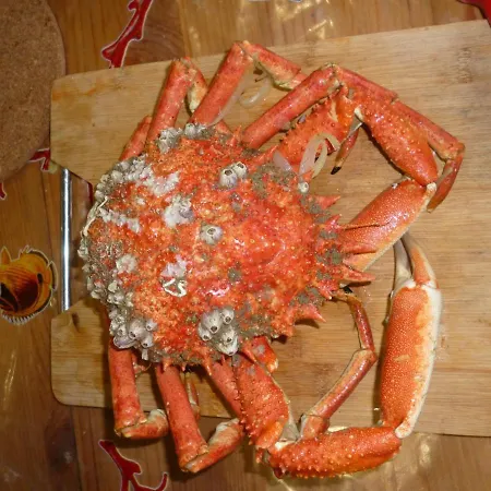 Flobart Grand A Au Rdc Et A 30 Metres De La