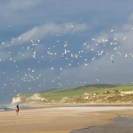 Апартаменты Flobart Grand A Au Rdc Et A 30 Metres De La