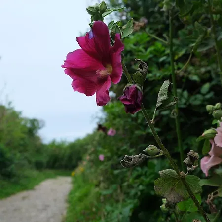 Flobart Grand A Au Rdc Et A 30 Metres De La Апартаменты