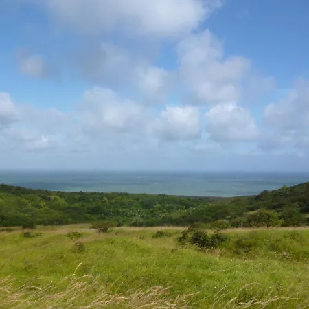 Flobart Grand A Au Rdc Et A 30 Metres De La * Сангатт