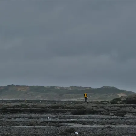 Апартаменты Flobart Grand A Au Rdc Et A 30 Metres De La